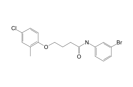 N-(3-Bromophenyl)-4-(4-chloro-2-methylphenoxy)butanamide