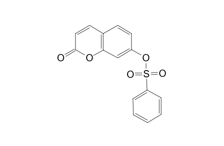 2-Oxo-2H-chromen-7-yl benzenesulfonate