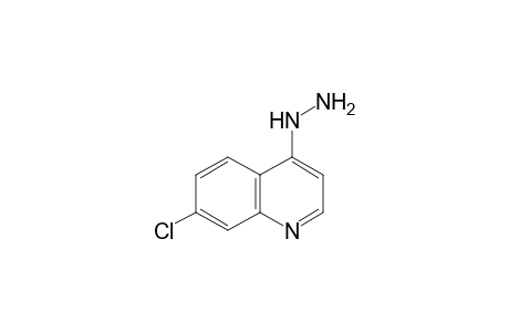 7-Chloro-4-hydrazinoquinoline