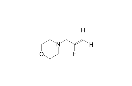 4-allylmorpholine