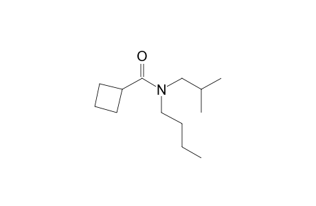 Cyclobutanecarboxamide, N-butyl-N-isobutyl-