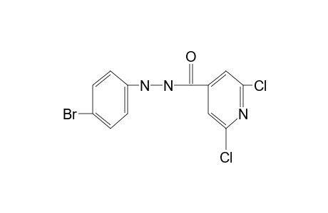 2,6-dichloroisonicotinic acid, 2-(p-bromophenyl)hydrazide