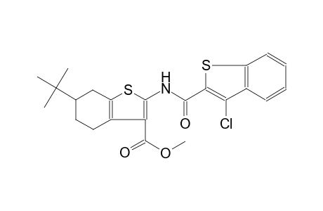 benzo[b]thiophene-3-carboxylic acid, 2-[[(3-chlorobenzo[b]thien-2-yl)carbonyl]amino]-6-(1,1-dimethylethyl)-4,5,6,7-tetrahydro-, methyl ester