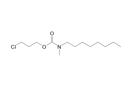 Carbamic acid, N-methyl-N-octyl-, 3-chloropropyl ester