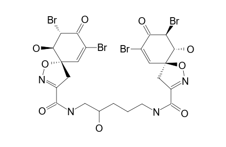 AGELOCAISSARINE-B1