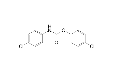 p-chlorocarbanilic acid, p-chlorophenyl ester