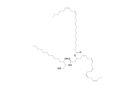 Cer 14:0;2O/20:5;(3OH)(FA 22:2)