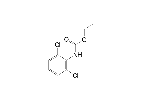 2,6-dichlorocarbanilic acid, propyl ester