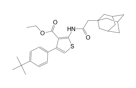 ethyl 2-[(1-adamantylacetyl)amino]-4-(4-tert-butylphenyl)-3-thiophenecarboxylate