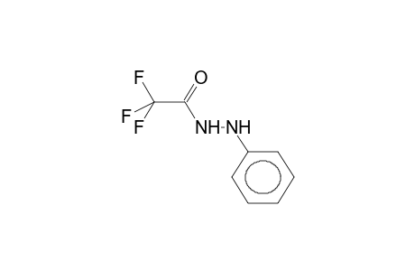 Acetic acid, trifluoro-, 2-phenylhydrazide