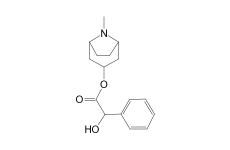 8-Methyl-8-azabicyclo[3.2.1]oct-3-yl hydroxy(phenyl)acetate