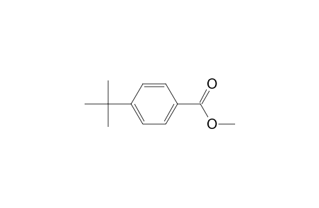 Methyl 4-tert-butylbenzoate