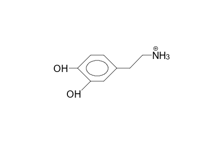 3,4-Dihydroxy-phenethylammonium cation