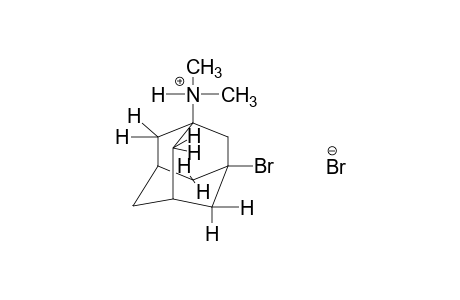3-bromo-N,N-dimethyl-1-adamantanamine, hydrobromide