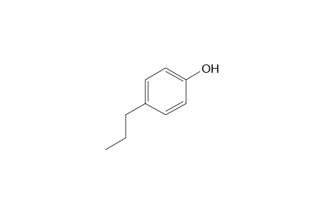 4-Propylphenol