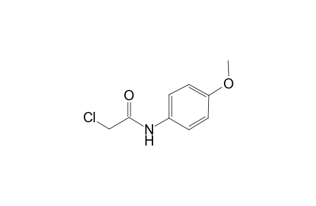 2-chloro-p-acetamide