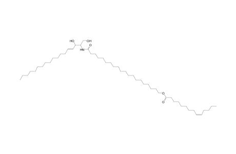 Cer 18:1;2O/20:0;O(FA 14:1)