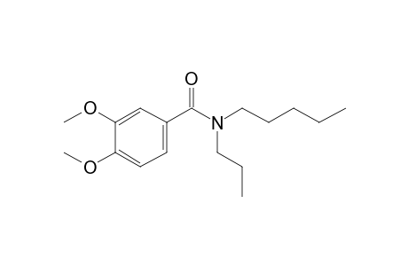 Benzamide, 3,4-dimethoxy-N-propyl-N-pentyl-