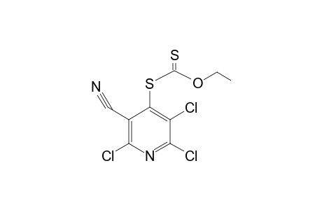 S-(2,3,6-TRICHLORO-5-CYANO-4-PYRIDYL)-ETHYLXANTHATE