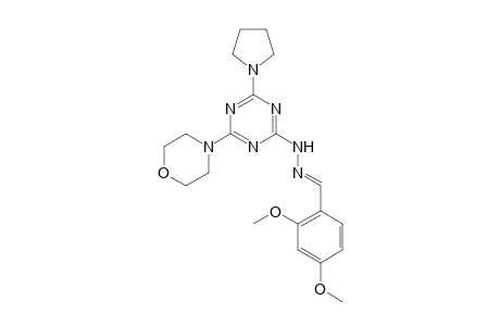 2-[(2,4-Dimethoxybenzylidene)hydrazino]-4-morpholino-6-(1-pyrrolidinyl)-1,3,5-triazine