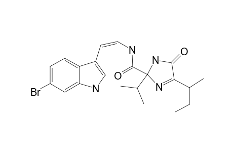 KOTTAMIDE-B