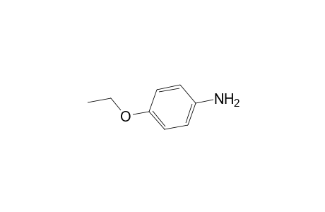 p-Phenetidine