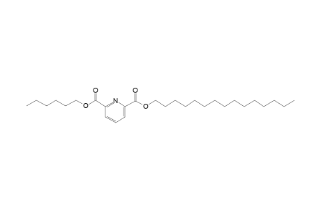 2,6-Pyridinedicarboxylic acid, hexyl pentadecyl ester