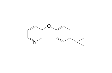 3-(p-tert-BUTYLPHENOXY)PYRIDINE