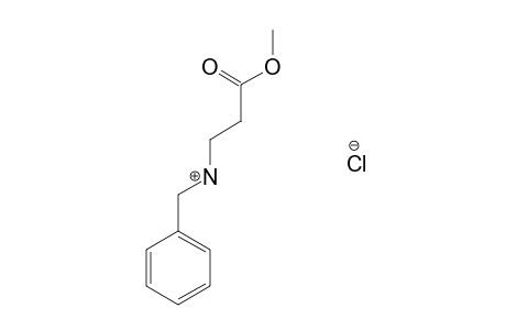 N-benzyl-beta-alanine, methyl ester, hydrochloride