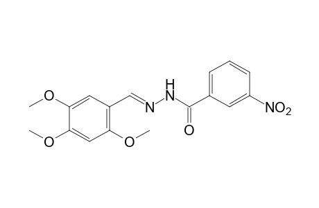 m-nitrobenzoic acid, (2,4,5-trimethoxybenzylidene)hydrazide