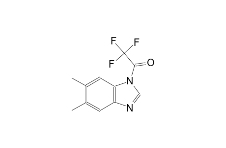 5,6-dimethyl-1-(trifluoroacetyl)-1H-benzimidazole