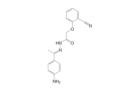 N'-[1-(4-Aminophenyl)ethylidene]-2-(2-cyanophenoxy)acethydrazide