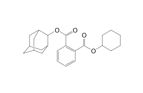 Phthalic acid, 2-adamantyl cyclohexyl ester