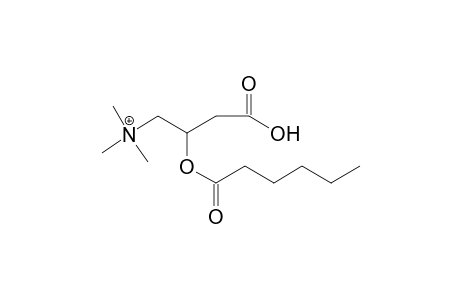 Hexanoylcarnitine MS2