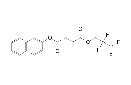 Succinic acid, 2,2,3,3-tetrafluoropropyl 2-naphthyl ester