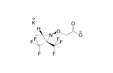 TRANS-1-CARBOXYMETHOXY-2-METHYL-3,3-BIS(TRIFLUOROMETHYL)AZIRIDINE,POTASSIUM SALT