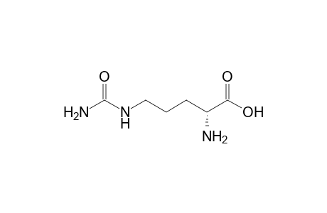 D-Citrulline