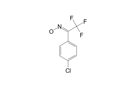 1-(4-CHLOROPHENYL)-2,2,2-TRIFLUOROETHANONE-OXIME