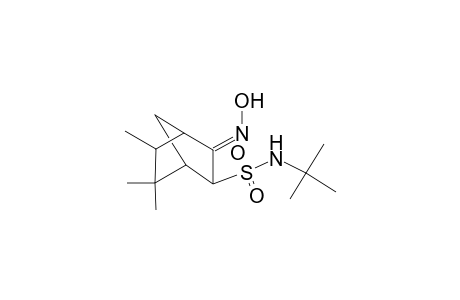 (2E)-N-tert-butyl-2-hydroxyimino-5,5,6-trimethyl-3-bicyclo[2.2.1]heptanesulfonamide