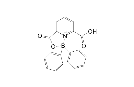 Diphenyl-{[2-(6'-hydroxycarbonyl)pyridyl]-carbonyloxy-O,N}-boron