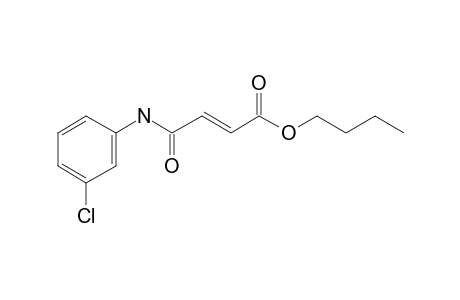 Fumaric acid, monoamide, N-(3-chlorolphenyl)-, butyl ester