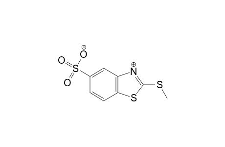 2-(methylthio)-5-benzothiazolesulfonic acid