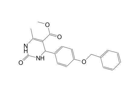 methyl 4-[4-(benzyloxy)phenyl]-6-methyl-2-oxo-1,2,3,4-tetrahydro-5-pyrimidinecarboxylate