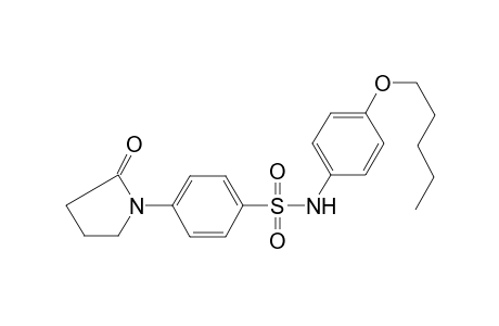 benzenesulfonamide, 4-(2-oxo-1-pyrrolidinyl)-N-[4-(pentyloxy)phenyl]-