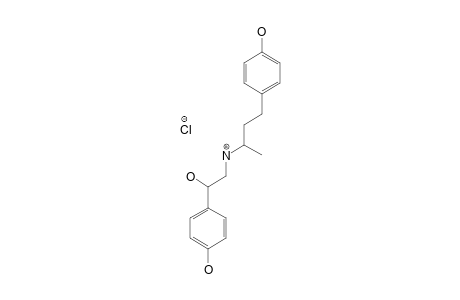 Ractopamine HCl