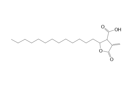 Protolichesterinic acid