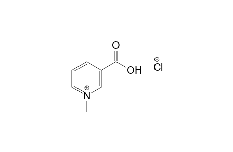 Trigonelline chloride