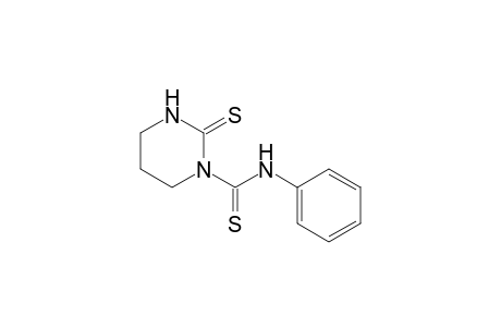 N-PHENYL-2-THIOXOTETRAHYDROPYRIMIDINE-1(2H)-CARBOTHIOAMIDE