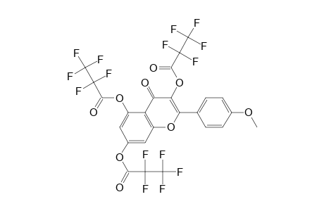 3,5,7-tri(Pentafluoropropionyl)oxy-4'-methoxyflavone