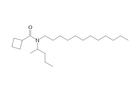 Cyclobutanecarboxamide, N-(2-pentyl)-N-dodecyl-